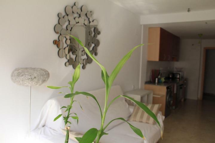 Sunny Apartments, Alicante Centre Zewnętrze zdjęcie